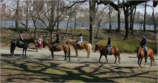 central park horse riding new york