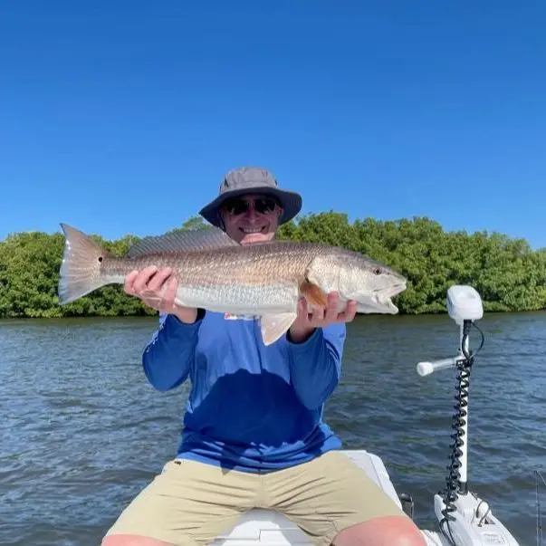 charlotte harbor fishing charter