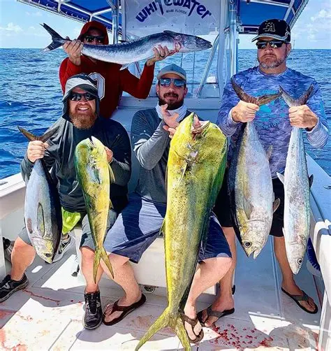 charter fishing boats in tampa florida