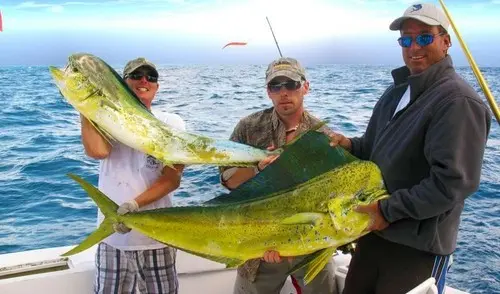 deep sea fishing charter tampa
