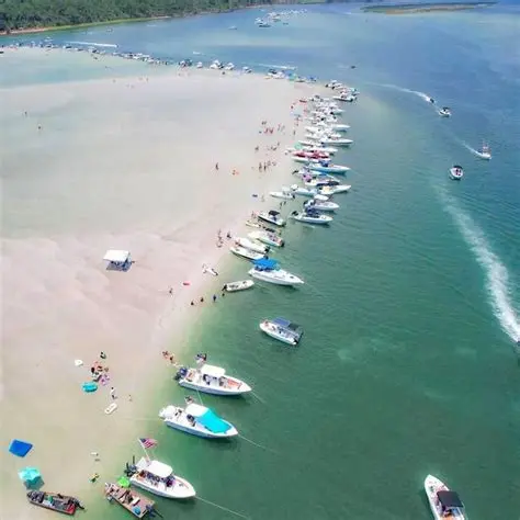 Let's Go Fishing in Jax! Your Guide to Awesome Charters