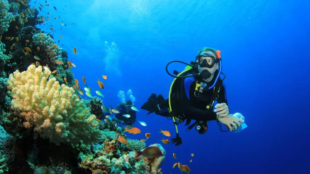 hamilton island scuba diving