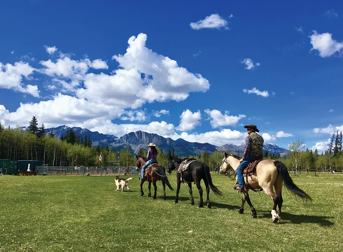 horse riding calgary