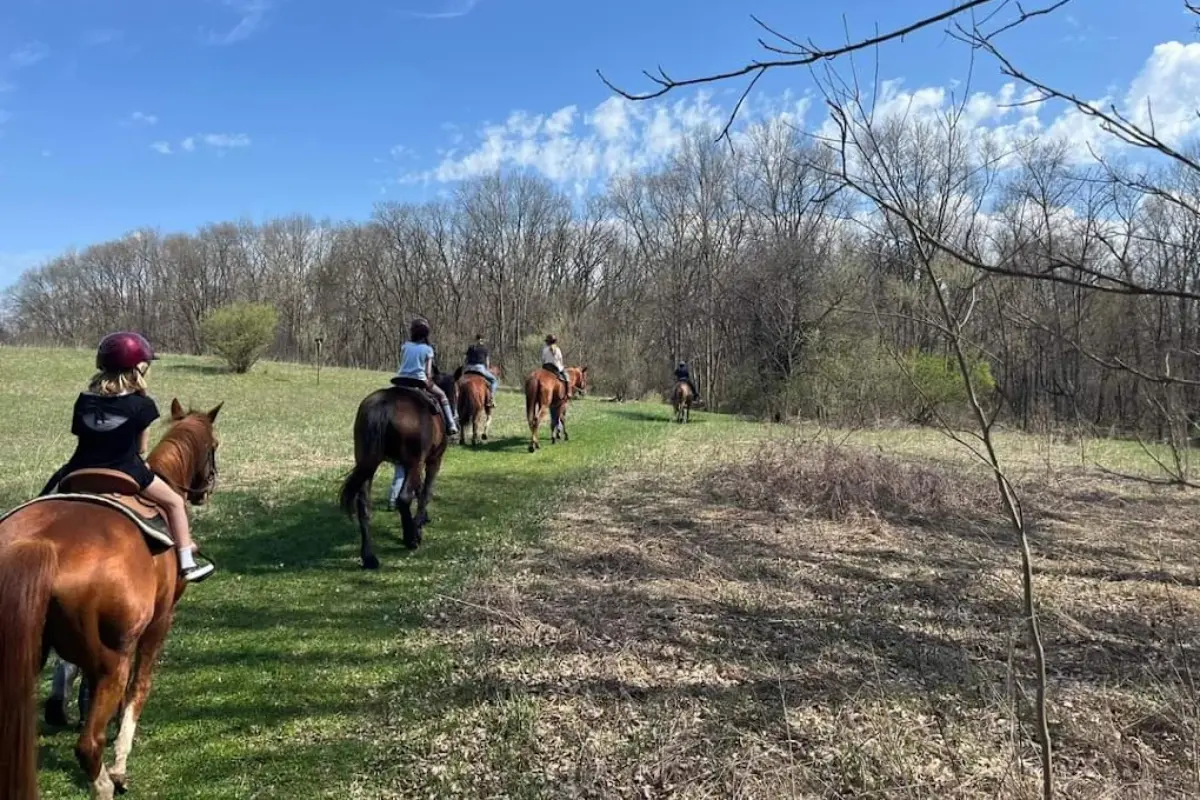 horse riding detroit