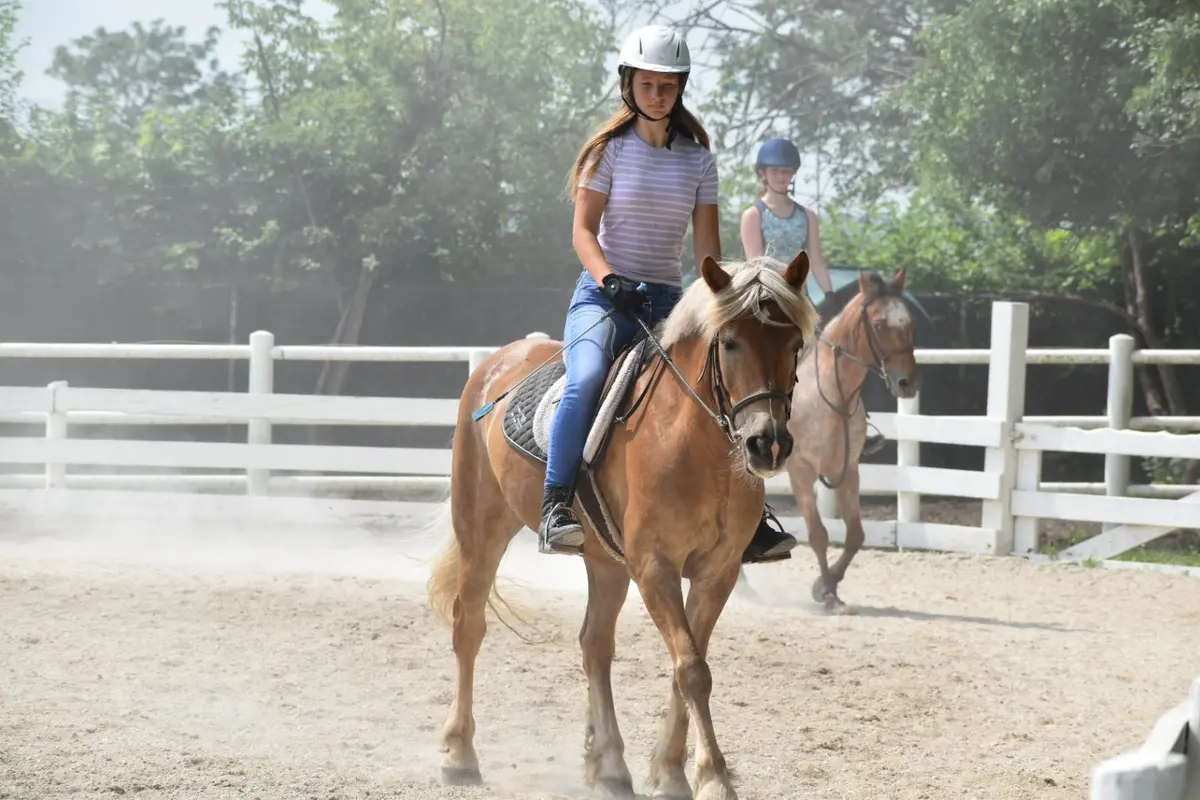 horse riding lessons chicago