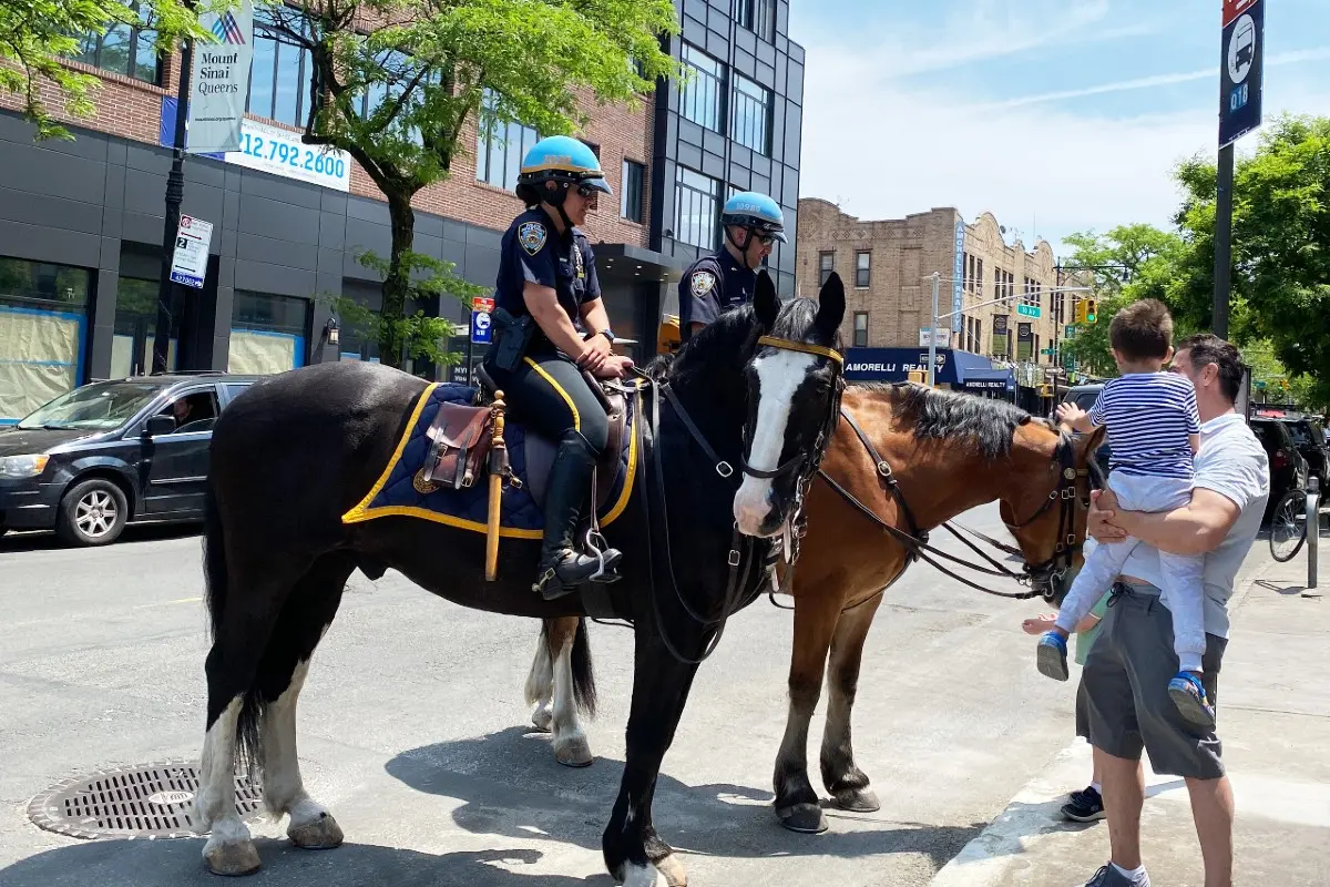 horse riding lessons in new york