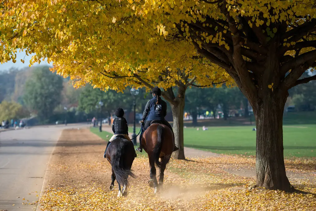 horse riding places in london