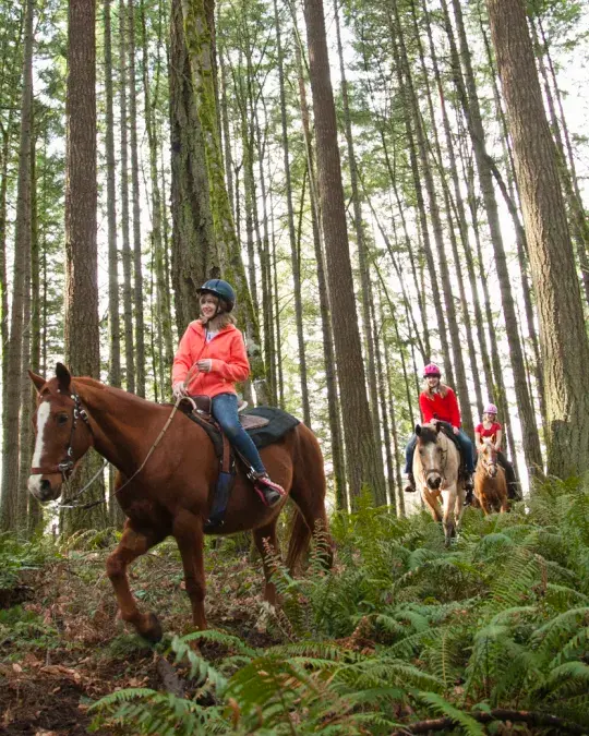 Get Your Giddy-Up On: Chill Horse Rides Near Portland