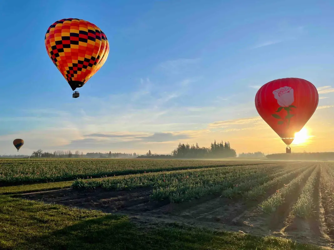 hot air balloons portland
