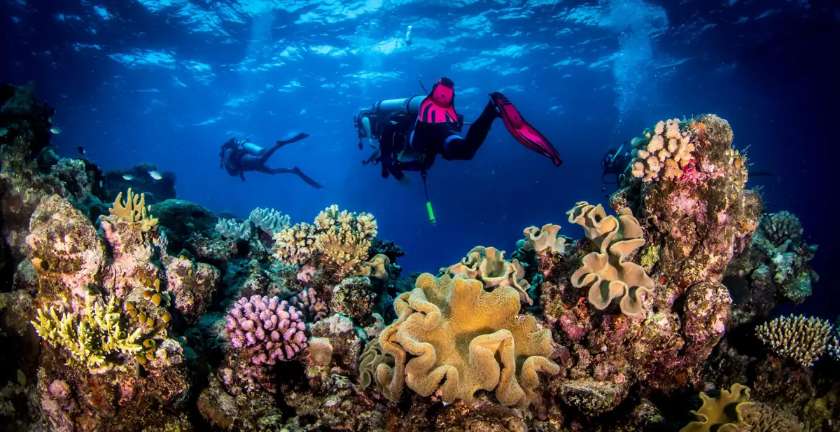 liveaboard scuba diving great barrier reef