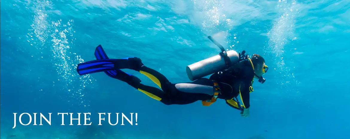 phoenix scuba diving