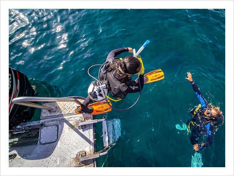 san jose scuba diving