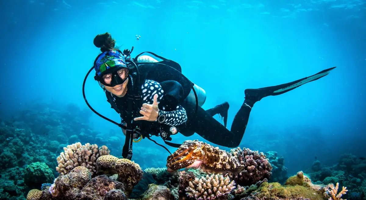 scuba diving cairns great barrier reef