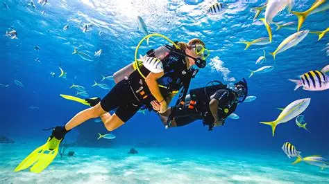 scuba diving certification los angeles