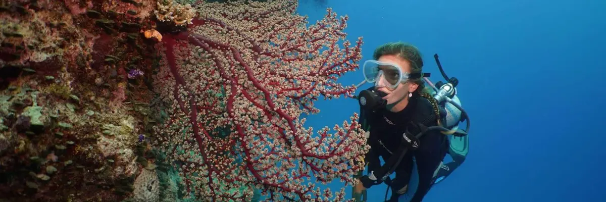 scuba diving great barrier reef port douglas