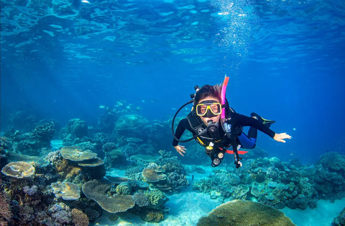scuba diving in great barrier reef