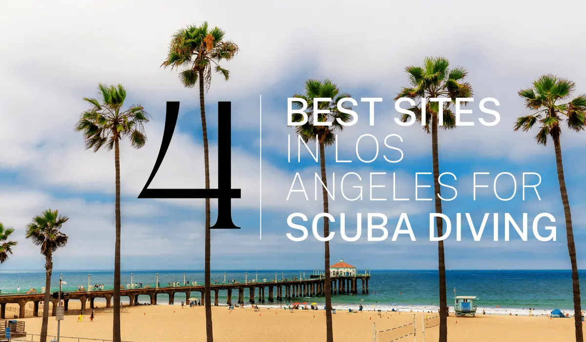 scuba diving in los angeles california