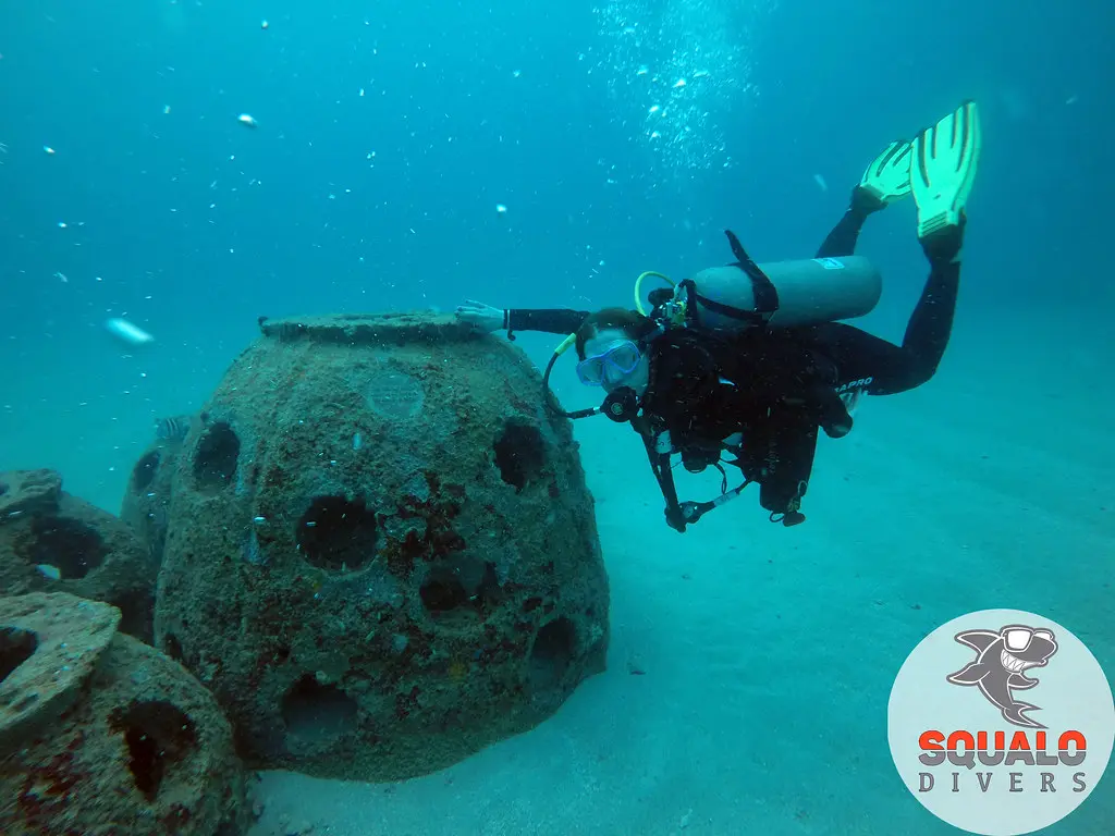 scuba diving in miami squalo divers