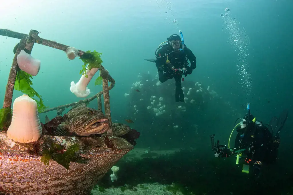 scuba diving in washington