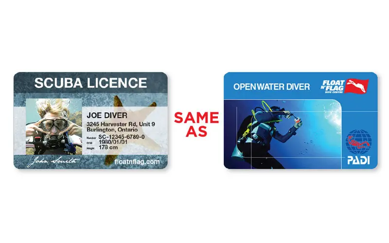 scuba diving license los angeles