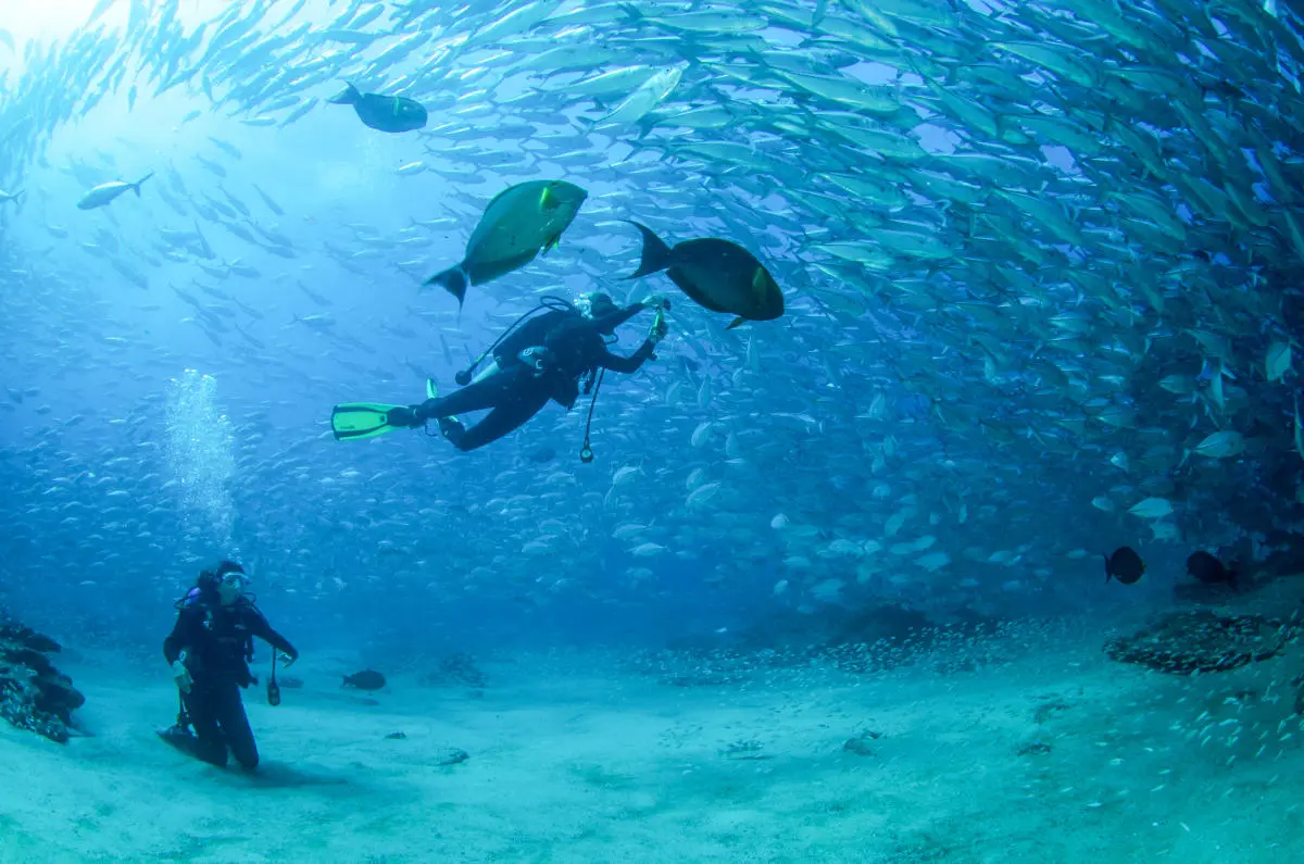scuba diving san jose del cabo