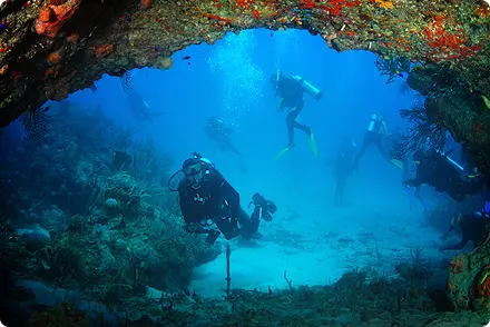 scuba diving washington state
