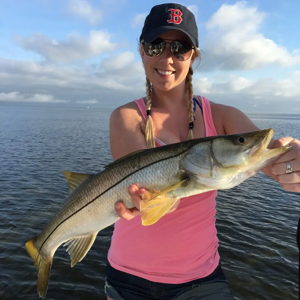 tampa inshore fishing charter