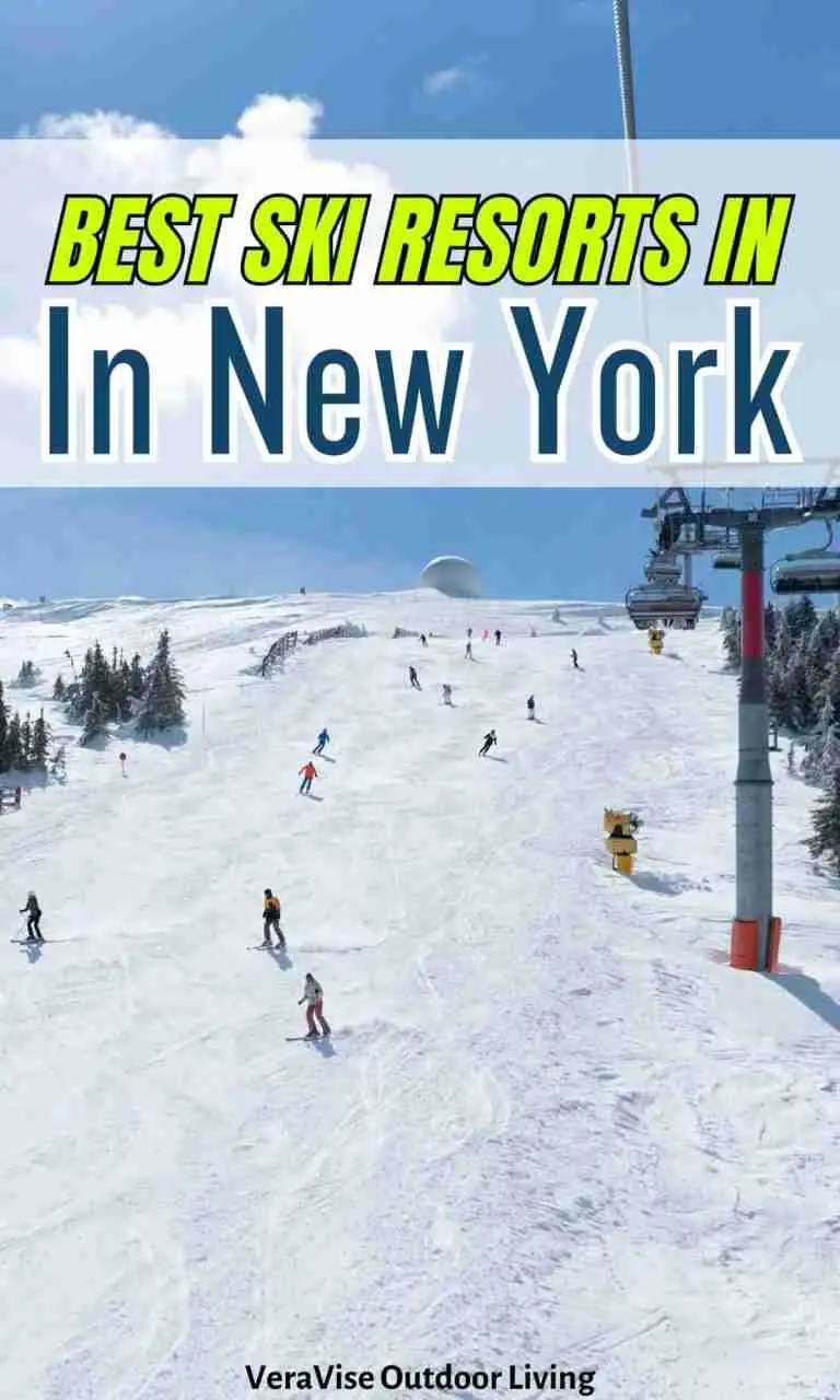 top new york ski resorts