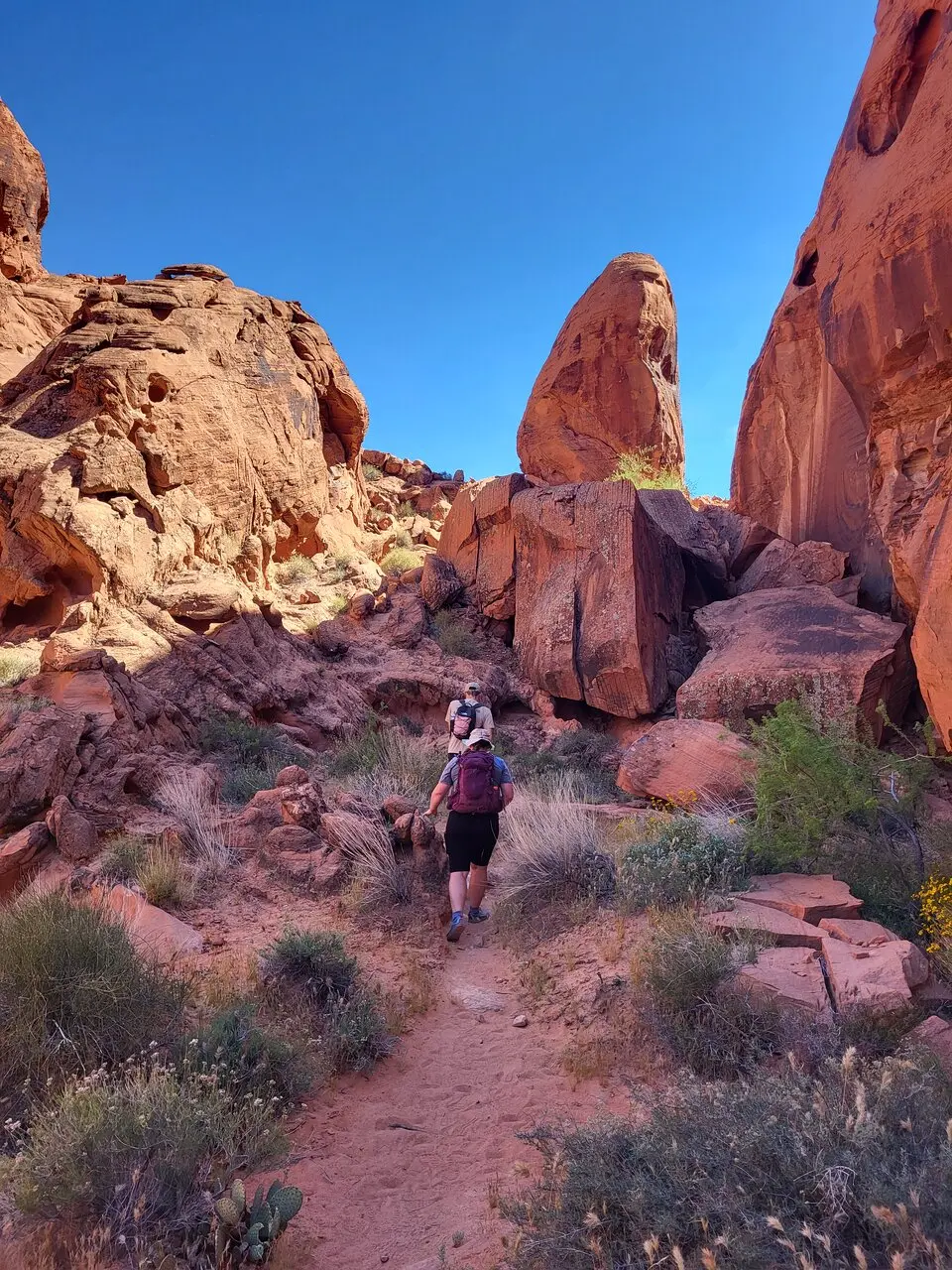 valley of fire hiking tour from las vegas