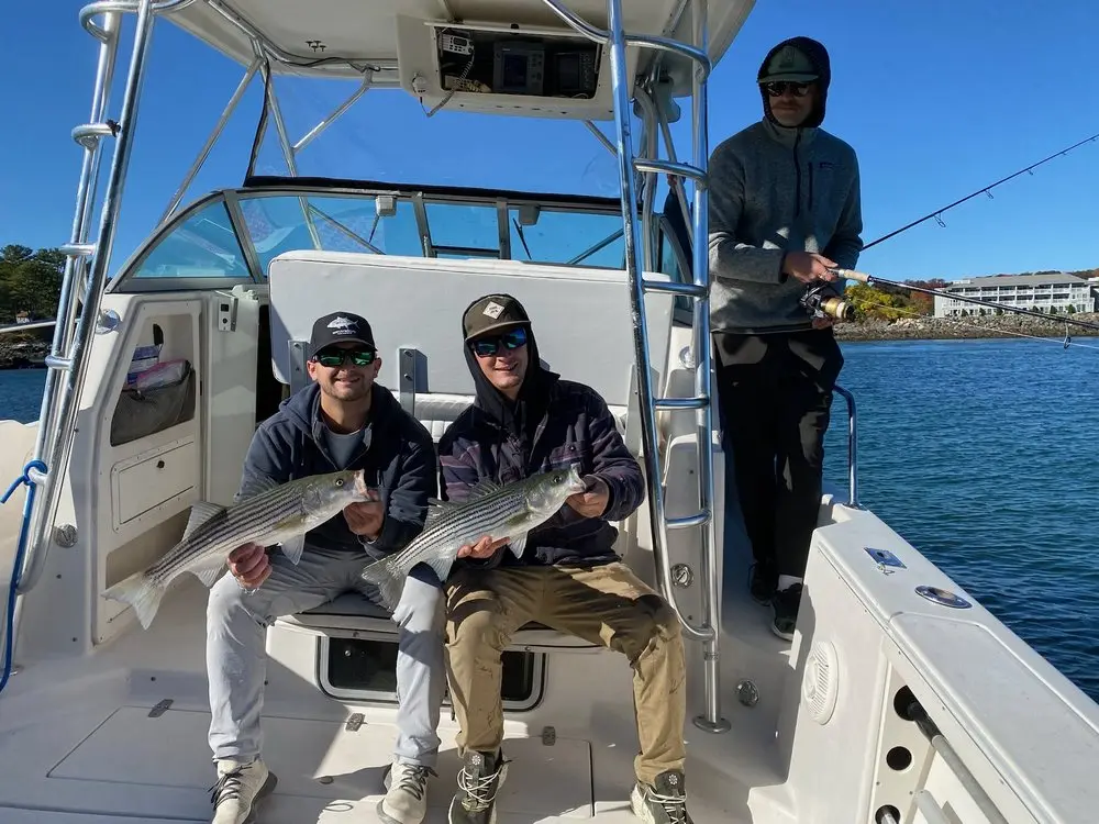 york maine charter fishing